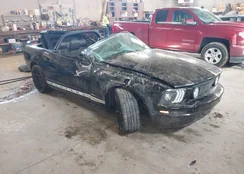 1ZVHT84N755243052: 41881137