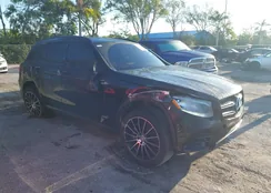 WDC0G4JB0GF028448: 41891040