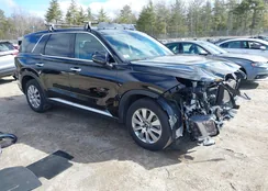 KM8R1DGE1PU538699: 41893023