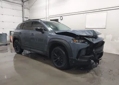 7MMVAADW5SN100981: 41902558