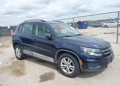 WVGAV7AXXFW587156: 41904839