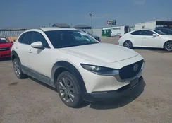 3MVDMBCM1PM552256: 41908549