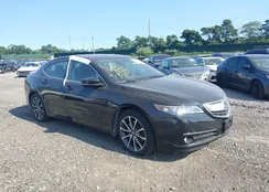 19UUB2F58FA001296: 42907756