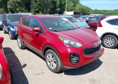 KNDPMCAC0J7312504: 42907675