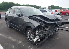 3MVDMBBM3PM531815: 42908505