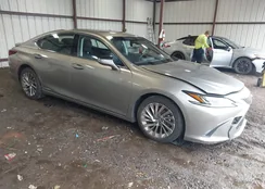 JTHB21B19K2002768: 42913541