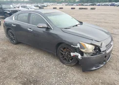 1N4AA5AP1AC869464: 42919805