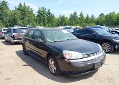 1G1ZT64855F217901: 42922011