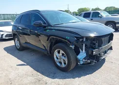 5NMJBCAE6PH217413: 42922122