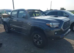 5TFCZ5AN1KX181050: 42926926