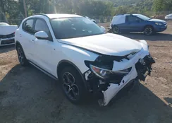 ZASPAKBN5N7D24907: 42928135