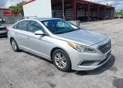 5NPE24AF0GH313024: 42932857