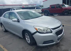 1G11C5SA5GF156985: 42944353