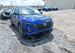 5NMJFCAE4PH196713: 42949944