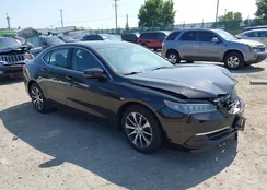 19UUB1F38HA009250: 42955381