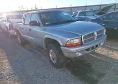 1B7HG38N22S562652: 42958511