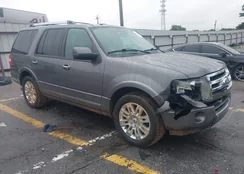 1FMJU1K51DEF39576: 42959296