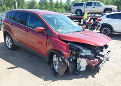 1FMCU9GX9EUC72132: 42963551