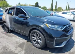 7FARW1H50LE028628: 42966043