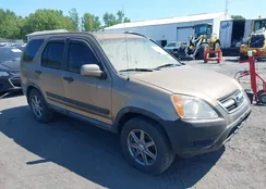 SHSRD78893U133451: 42967893