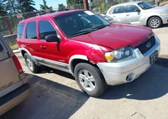 1FMYU96H16KB36736: 42972317