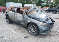 WDC0G4JB9GF012748: 42977442