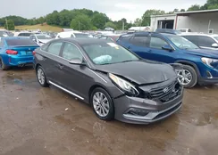 5NPE34AF0HH443657: 42977260