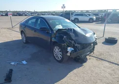 1YVHZ8DH9D5M07101: 42988410