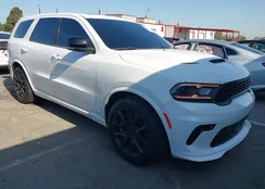 1C4SDJH90PC555187: 42994555