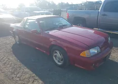 1FABP40E2KF183527: 42995123