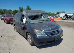 5FNRL38739B404961: 43003430