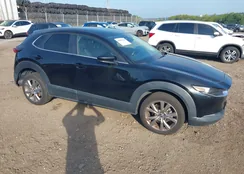 3MVDMBCL9LM116837: 43005228