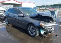 19UUB1F38LA003411: 43007947