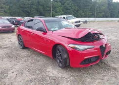 ZARFAMBN2N7661072: 43009351