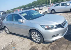 1HGCR2F81FA023772: 43015511