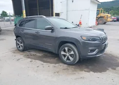 1C4PJMDX9KD118053: 43018173