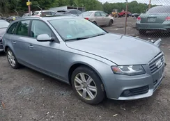 WAUSFAFL8BA124686: 43018937