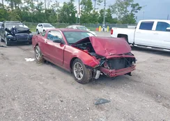 1ZVBP8AM5E5211979: 43019247