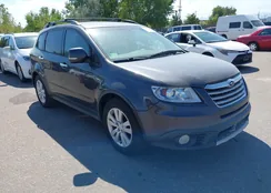 4S4WX9GD9C4400053: 43020251