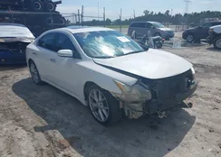 1N4AA51E89C810972: 43021625