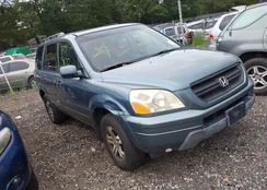 5FNYF18575B067131: 43022608