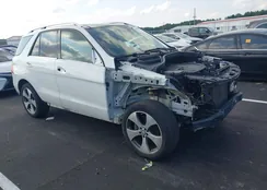 4JGDA5HB7GA626274: 43025876