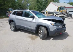 1C4PJMBX1MD172954: 43029661