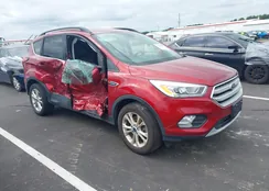 1FMCU9HD8KUA81981: 43030833