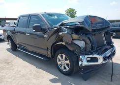 1FTEW1CPXLKD56807: 43031375