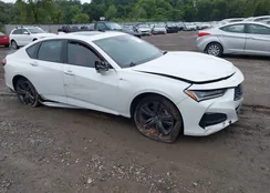 19UUB6F53NA002197: 43039288