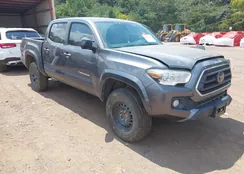 5TFAZ5CN7MX107851: 43040268