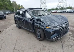 KM8JECD1XRU239339: 43041454