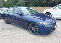 ZARFAMBN2K7603801: 43042276