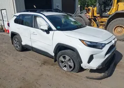 2T3P1RFV1SW526137: 43052961